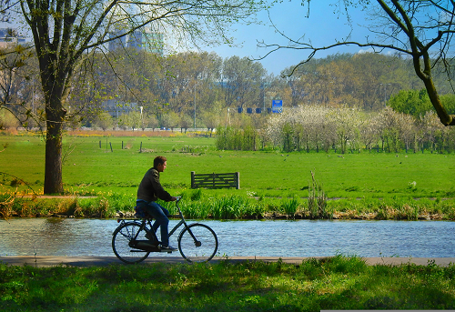 Image about: Sectoraal Ontwikkelpad