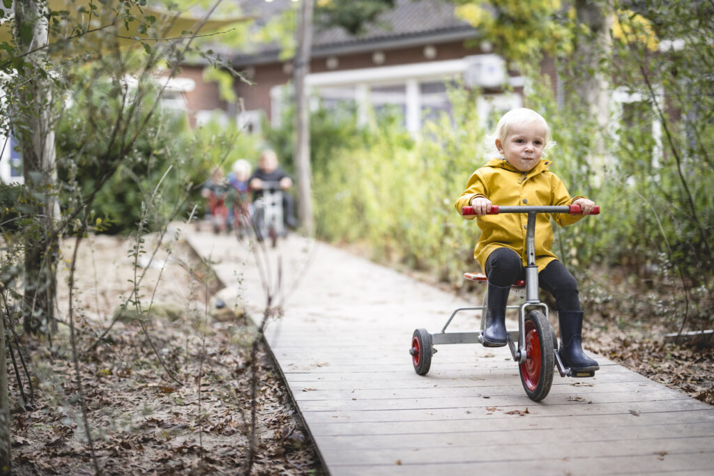 Image about: GGD toezicht: lokaal ingebed en met maatschappelijke impact