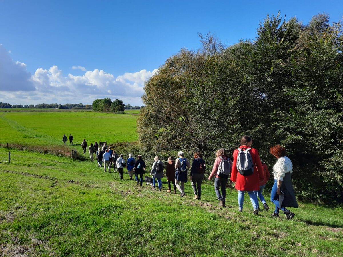 Image about: Gezonde en veilige leefomgeving